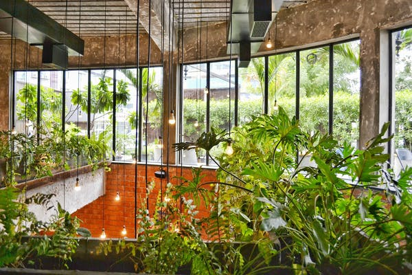 a terrace with fresh plants